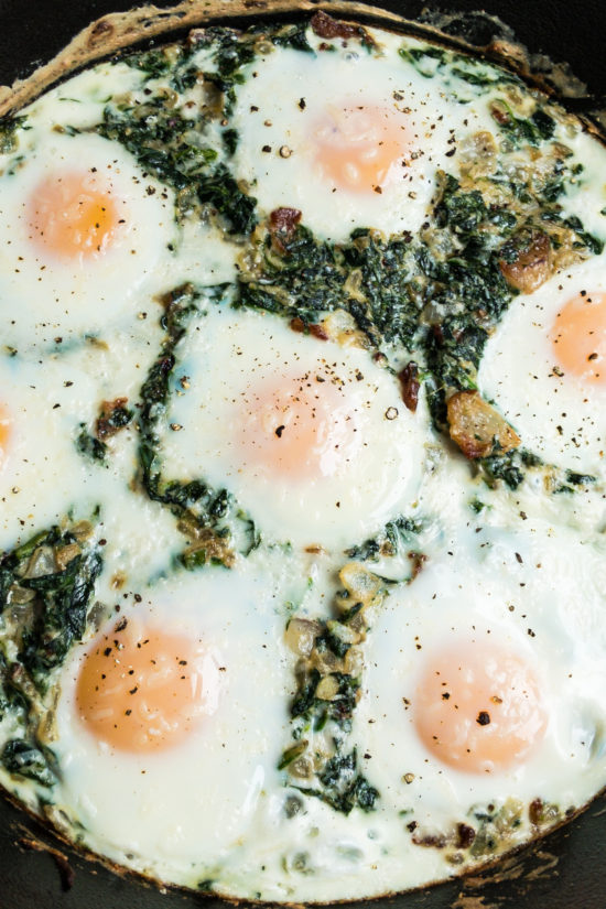 Creamed Spinach Egg Bake - Bitchin' in the Kitchen